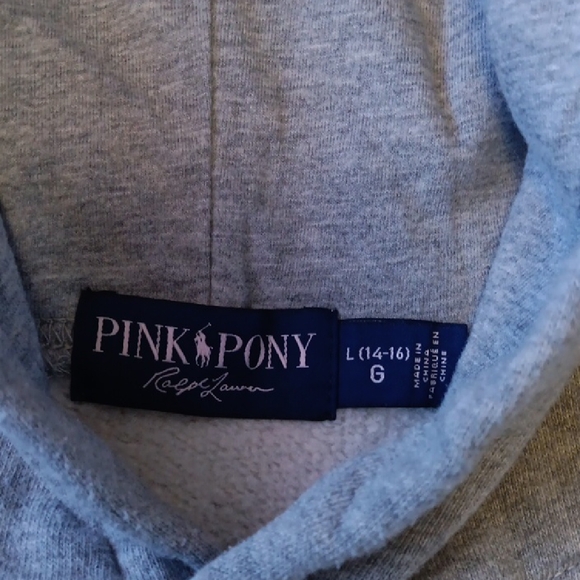 Polo by Ralph Lauren Gray Hoodie with Black and Pink Accents - Picture 2 of 10
